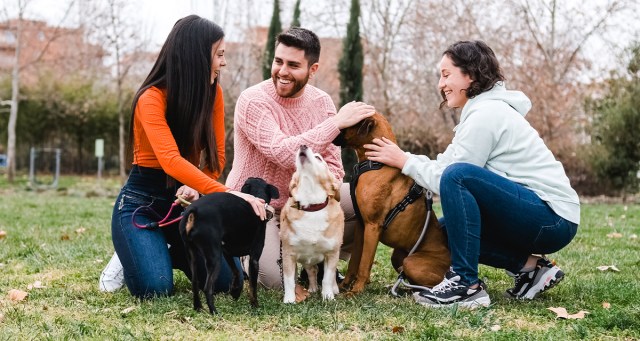 New Los Angeles Law Requires You to Ask Dog Owners Their Name Too