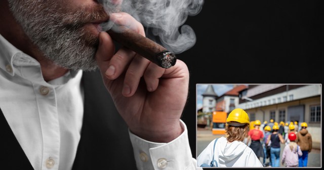 The Next “Newsies”? These Children I’ve Employed Won’t Stop Complaining About How I Don’t Pay Them