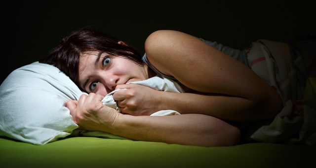Girlfriend Can’t Go to Sleep After Seeing Line 6 Spider in the Corner