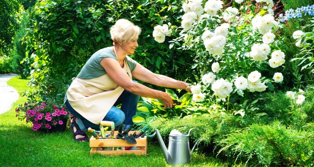 Perennial Plants Thriving at Childhood Home Suggest Mom Can Be Nurturing After All