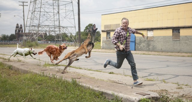 Mental Health Walk Turns to Mental Health Sprint Thanks to Pack of Rabid Dogs