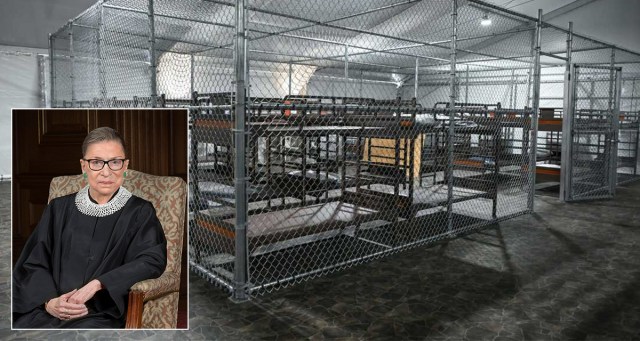 Democrats Placated By Decision to Rename Alligator Alcatraz the “Ruth Bader Ginsburg Memorial Detention Facility”