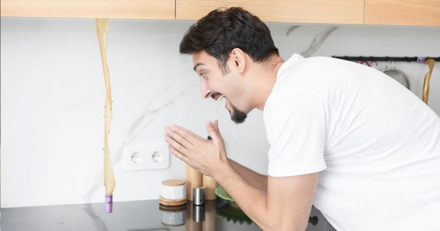 Local Man Proud of Self For Outsmarting Housefly 