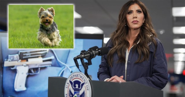 Kristi Noem Instructs Gun-Shy ICE Officers to Picture Protester as Cute Puppy