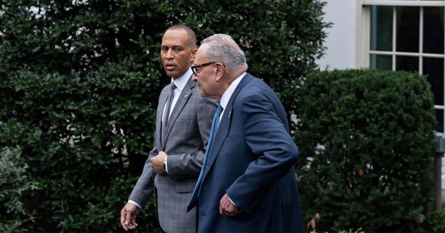 Democrats Divided on How to Not Respond to GOP Gerrymandering Wins