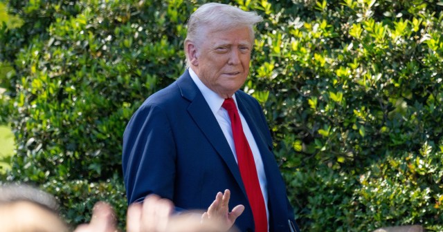IRS Forced to Get Trump on Lesser Crimes of Rape and Pedophilia