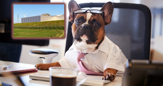 Adorable Dog Mayor of Small Town Approves Data Center