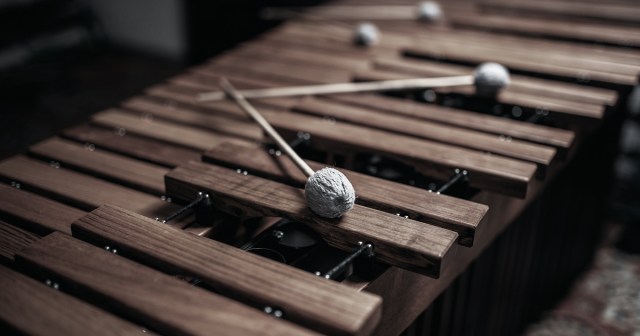 Nation’s Xylophones Sit Dusty After Overly Optimistic ‘Gone Daddy Gone’ Boom 