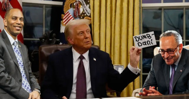 Schumer and Jeffries Hold Emergency Meeting With Trump to Brainstorm Insulting Nicknames for DSA Candidates